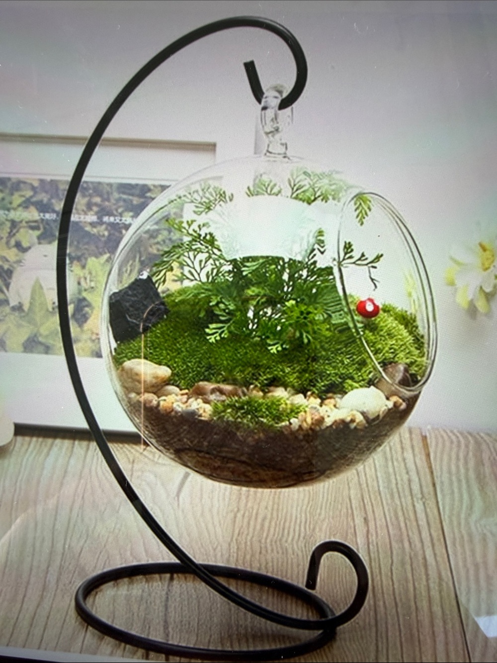 3 Glass Air Plant Holders with Metal Stands